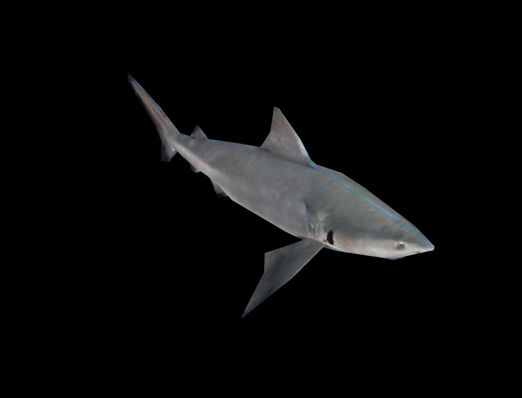 Shark Requin preview image 1